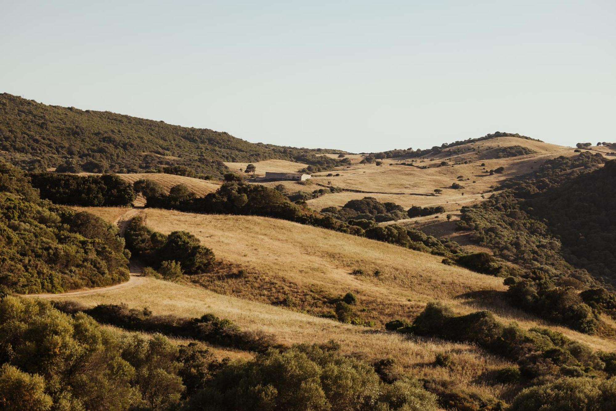 Nuali - Stazzo In Gallura Палау Екстериор снимка